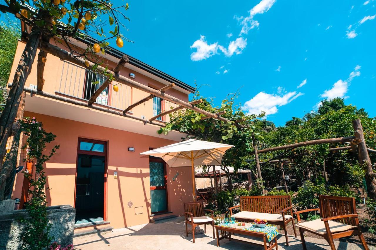 Poggio Angelarosa: Lemon Garden Stay&Relax Scala Εξωτερικό φωτογραφία