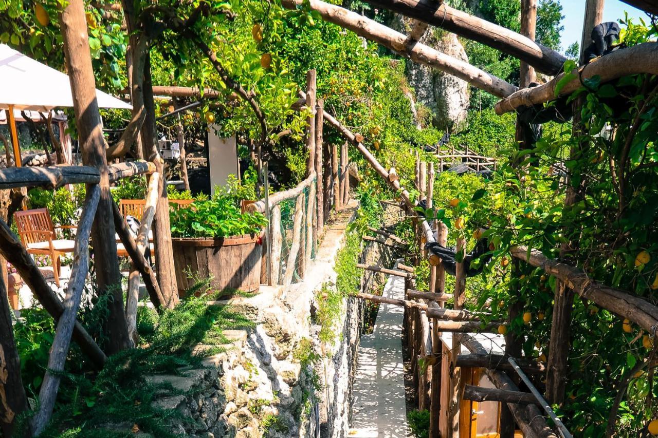 Poggio Angelarosa: Lemon Garden Stay&Relax Scala Εξωτερικό φωτογραφία