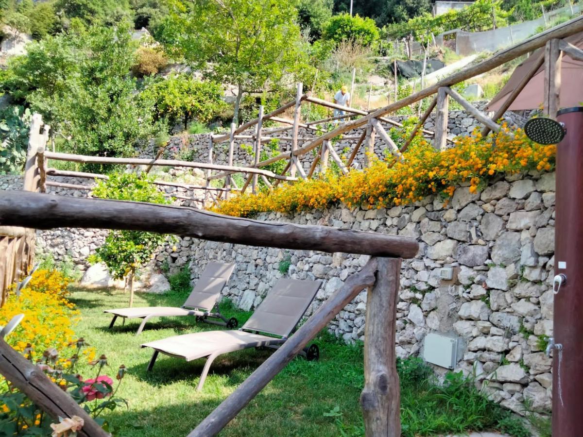 Poggio Angelarosa: Lemon Garden Stay&Relax Scala Εξωτερικό φωτογραφία