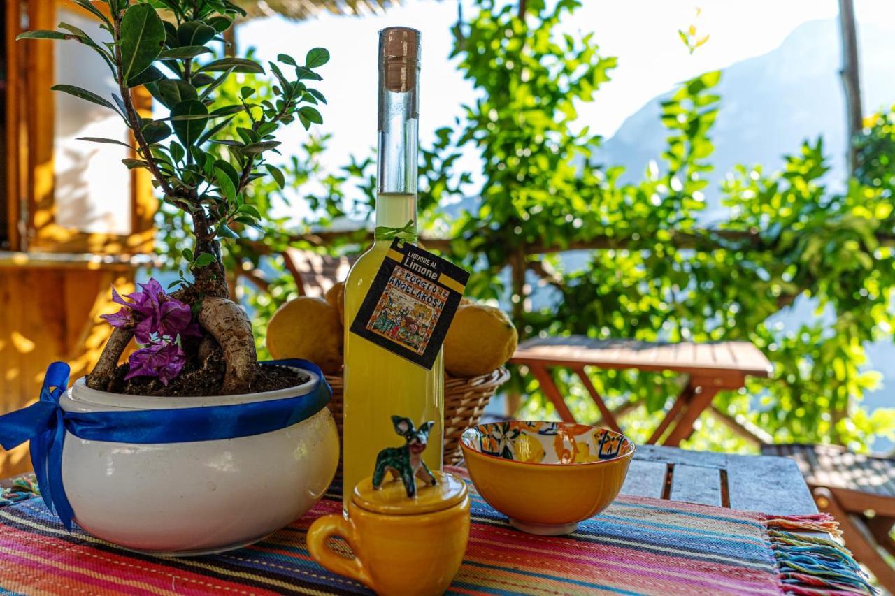 Poggio Angelarosa: Lemon Garden Stay&Relax Scala Εξωτερικό φωτογραφία